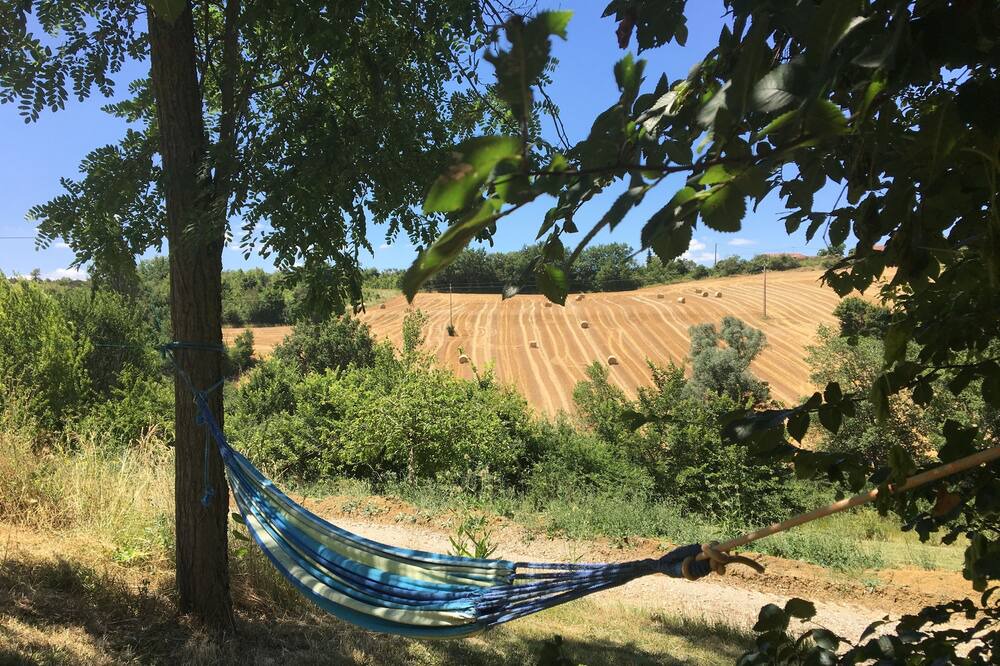 Photo of Outdoor in Lapenne