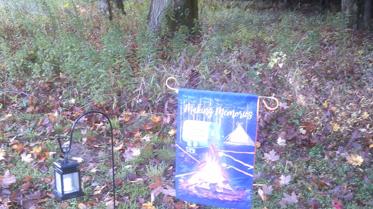 Photo of Others in Wapwallopen
