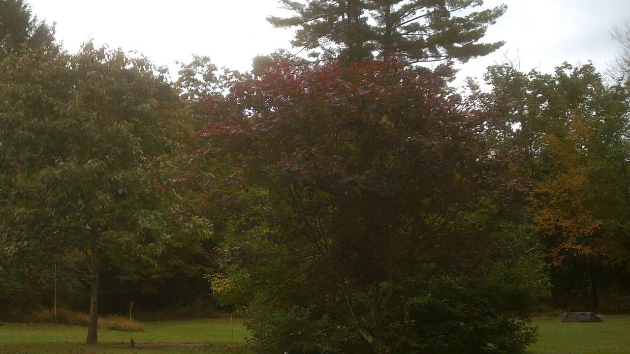 Photo of Outdoor in Wapwallopen