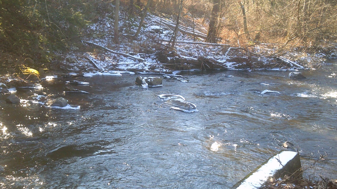 Photo of Outdoor in Wapwallopen