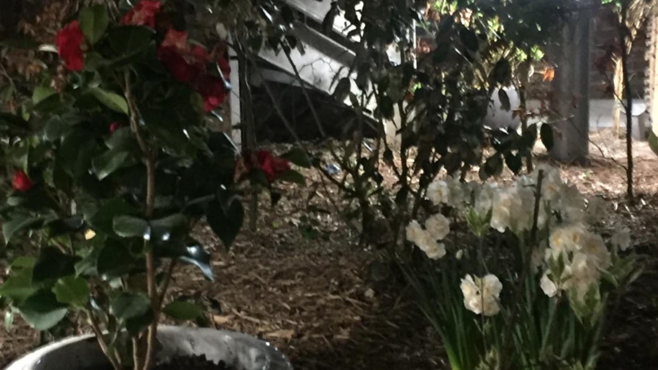 Photo of Outdoor in Arras