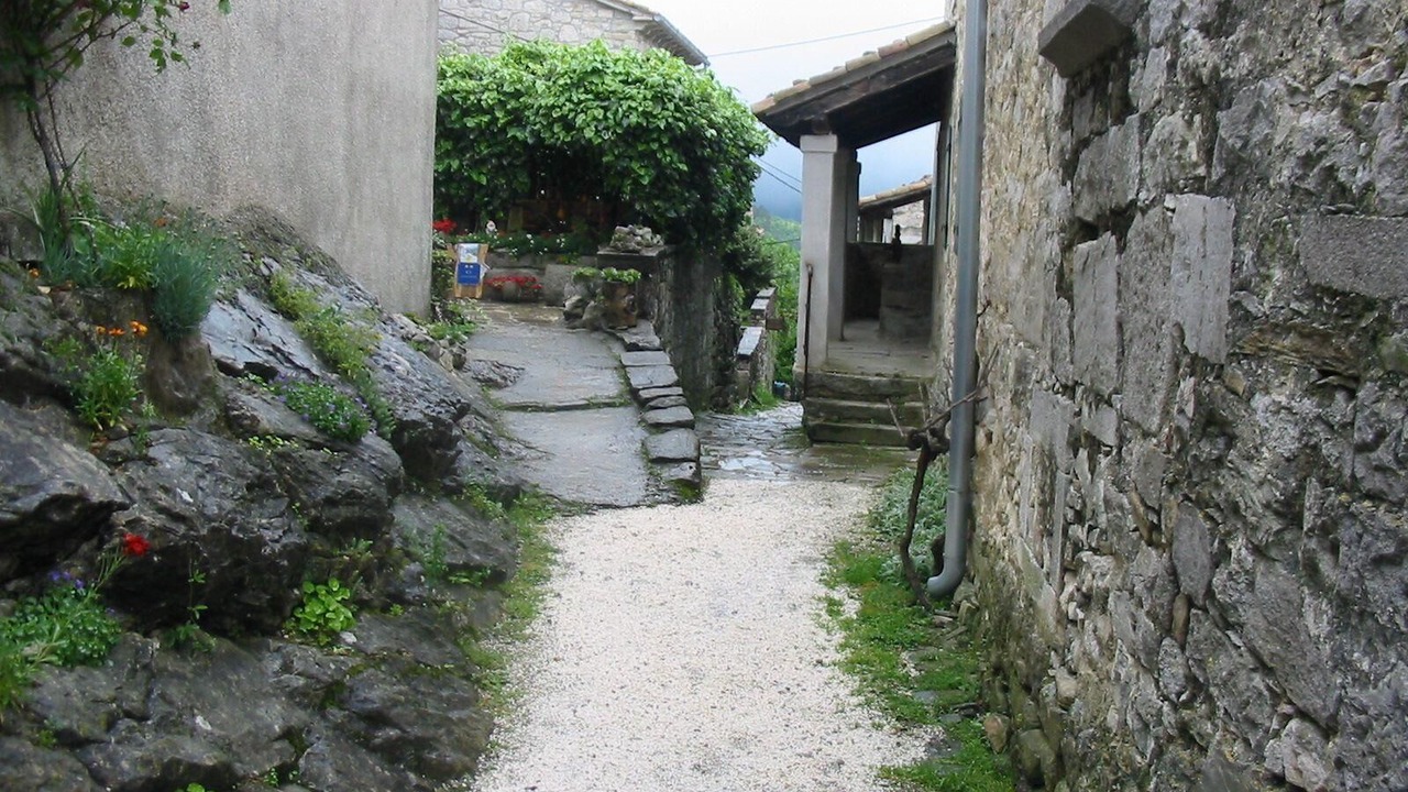 Photo of Outdoor in Porec