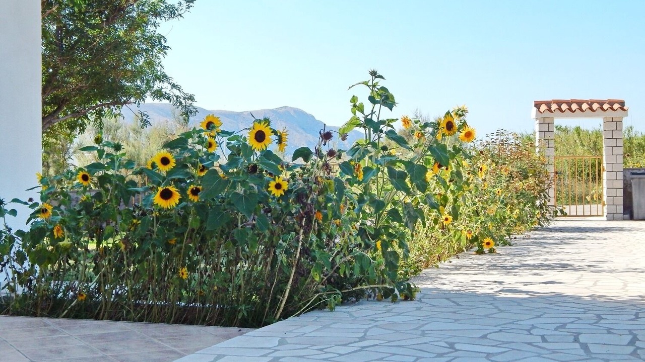 Photo of Outdoor in Pag