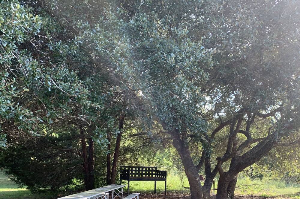 Photo of Outdoor in Warrenton
