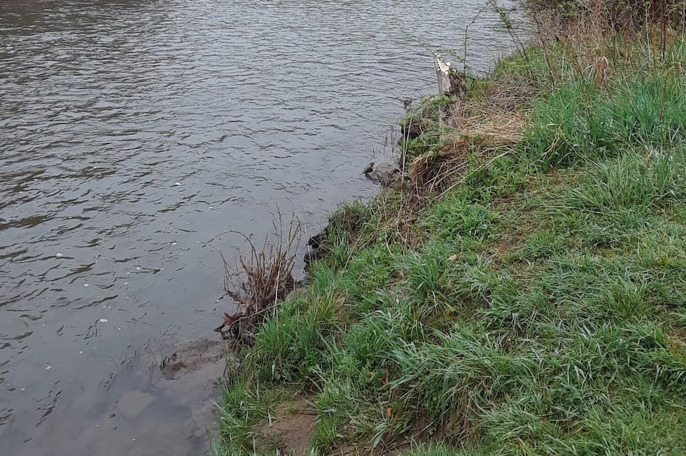 Photo of Others in Genesee