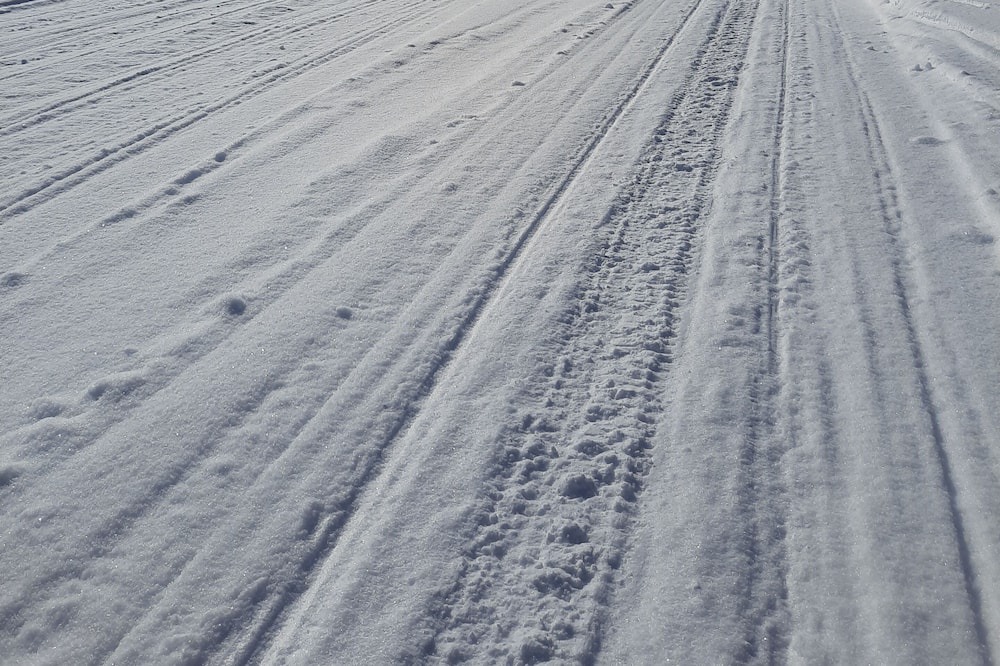 Photo of Others in Genesee