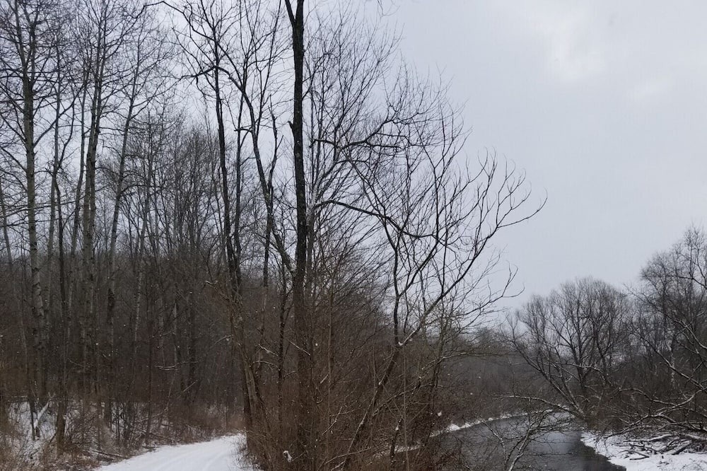 Photo of Others in Genesee