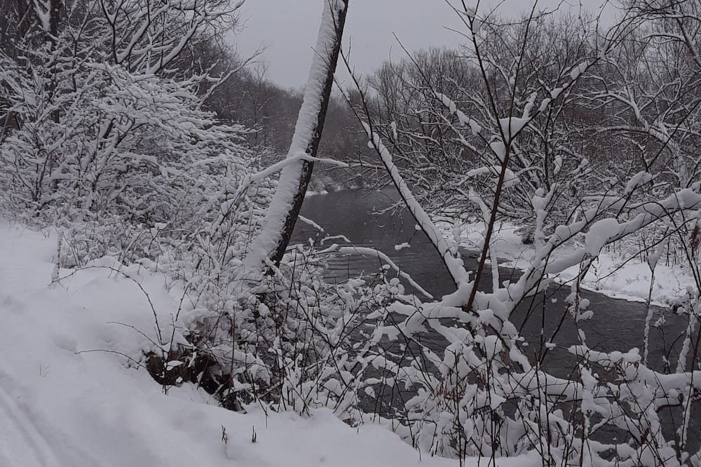 Photo of Others in Genesee