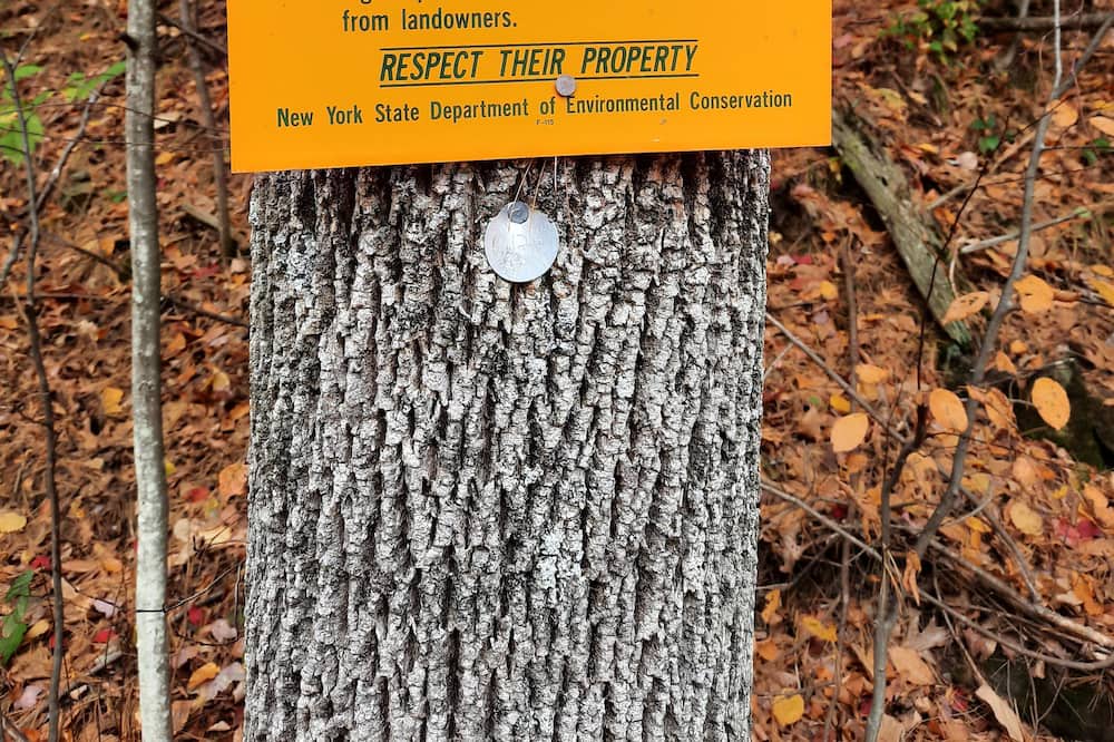 Photo of Outdoor in Genesee