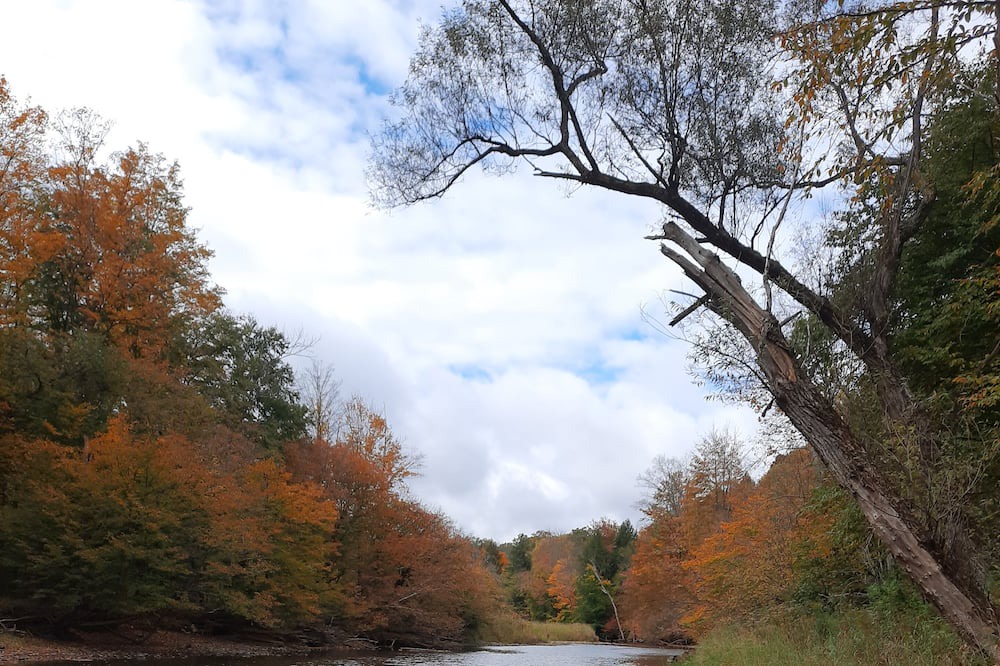 Photo of Others in Genesee