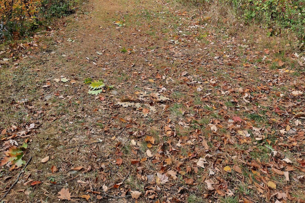 Photo of Others in Genesee