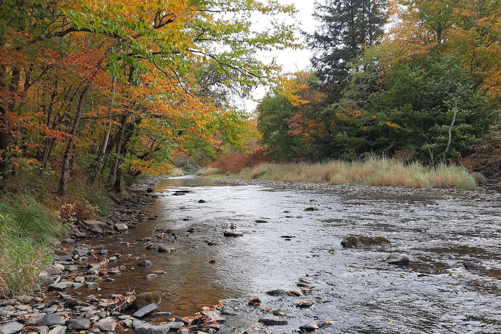 Photo of Others in Genesee