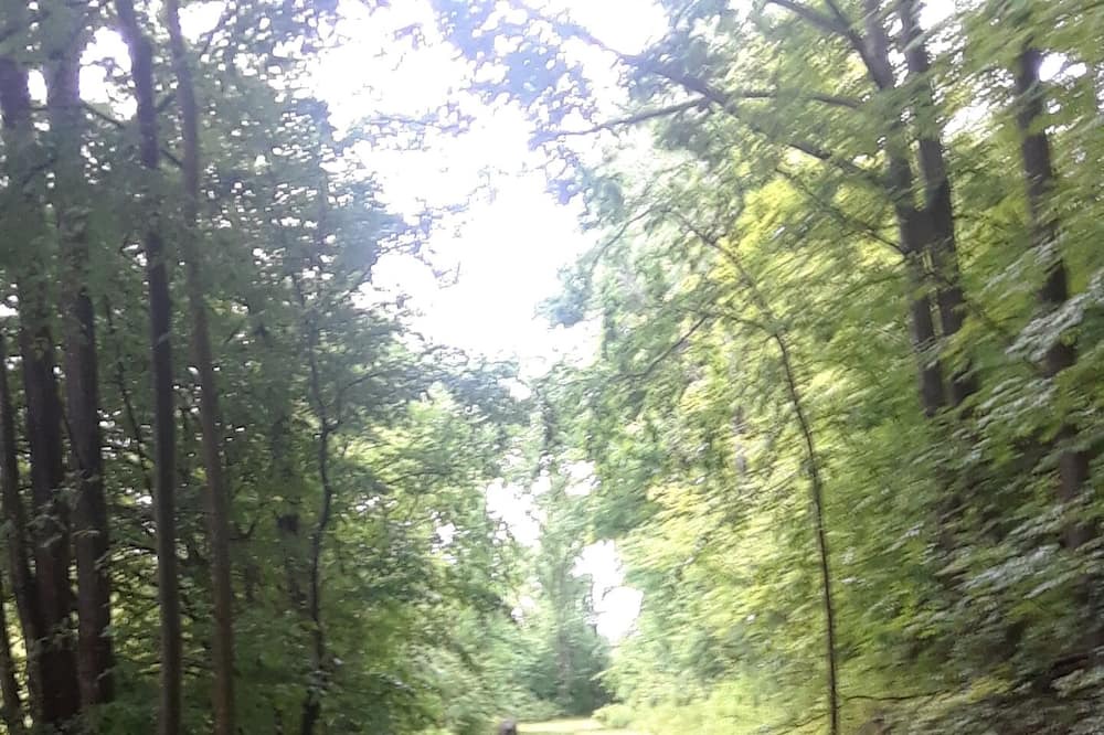 Photo of Others in Genesee