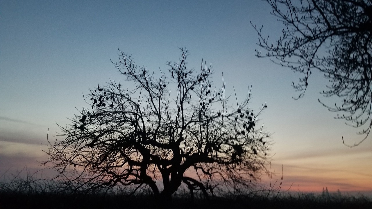 Photo of Others in Victor