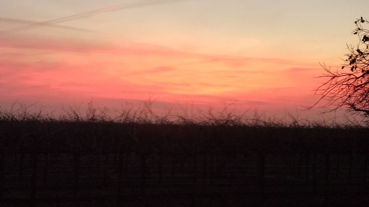 Photo of Others in Victor