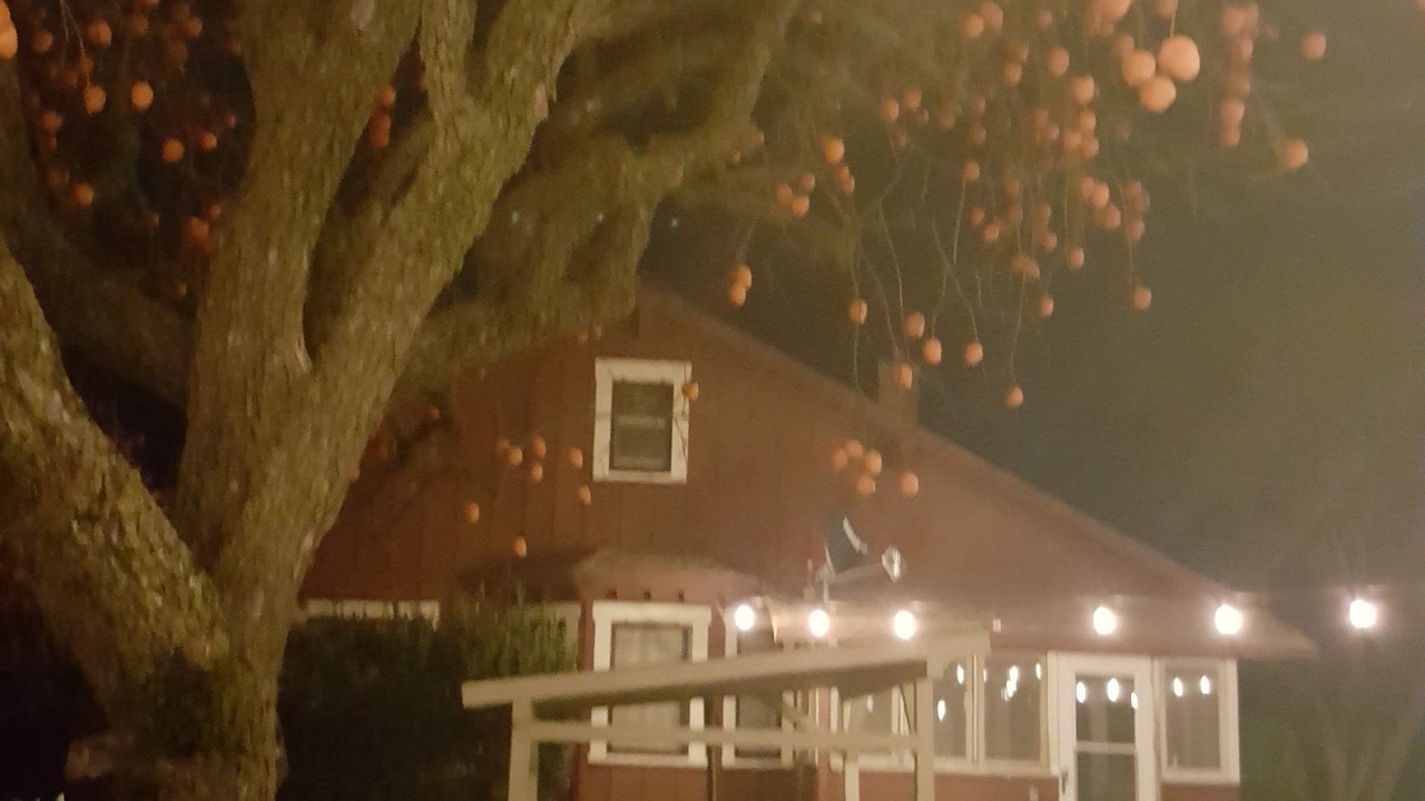 Photo of Outdoor in Victor