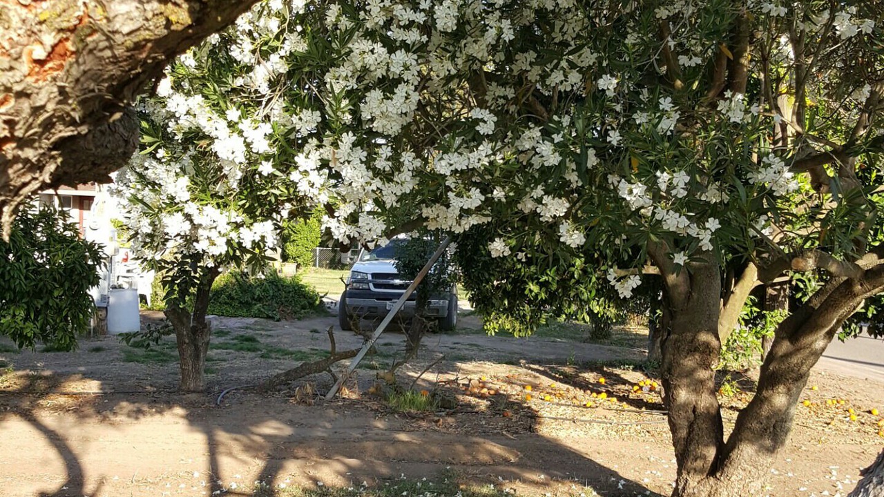 Photo of Outdoor in Victor