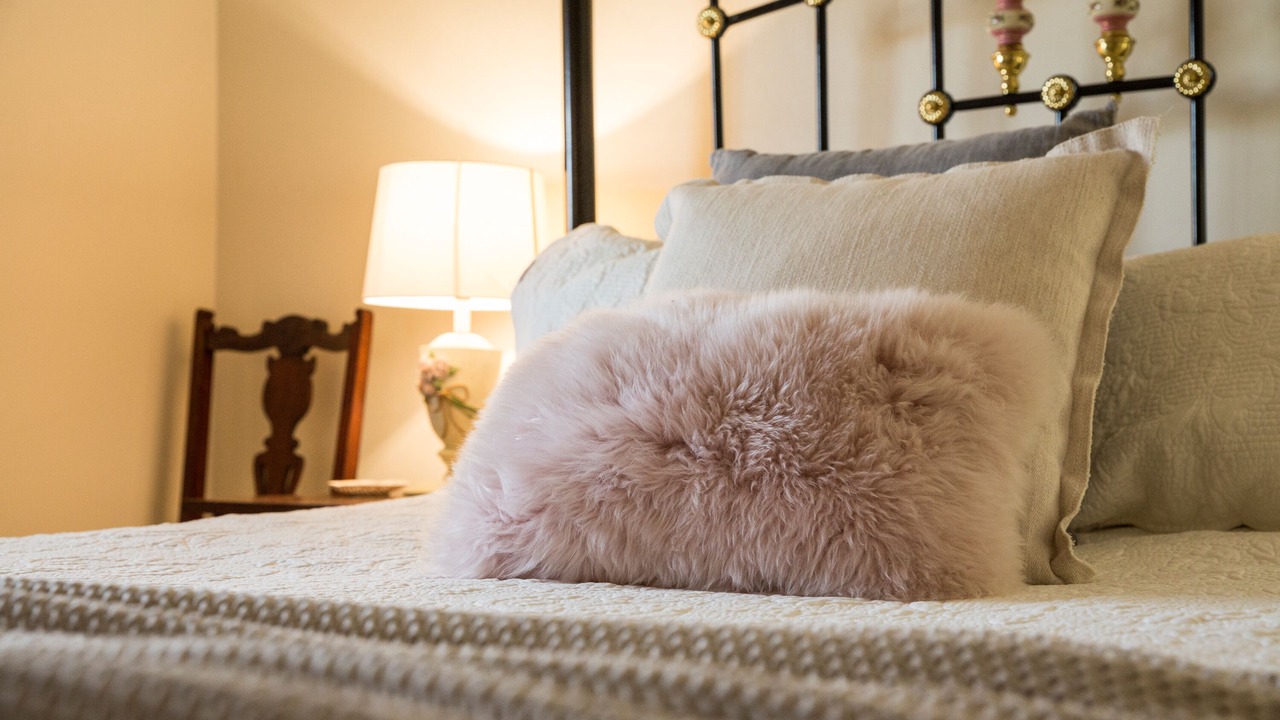 Photo of Others in Clare