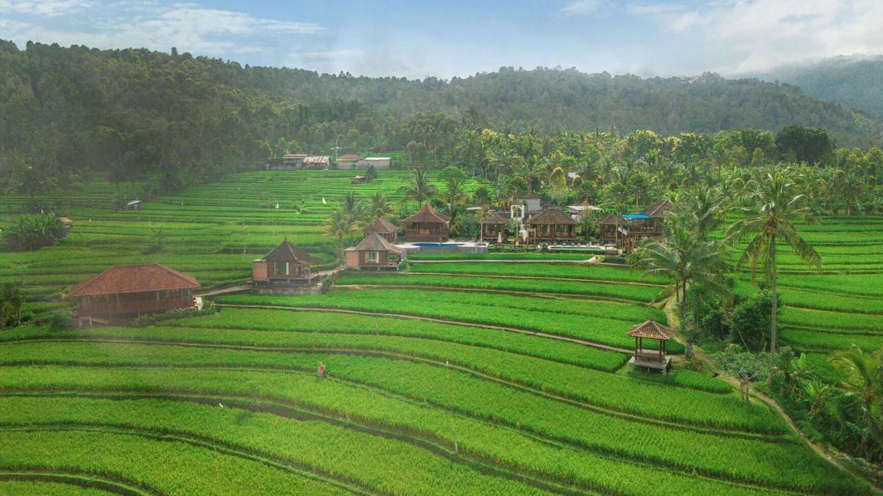 Photo of Outdoor in Munduk