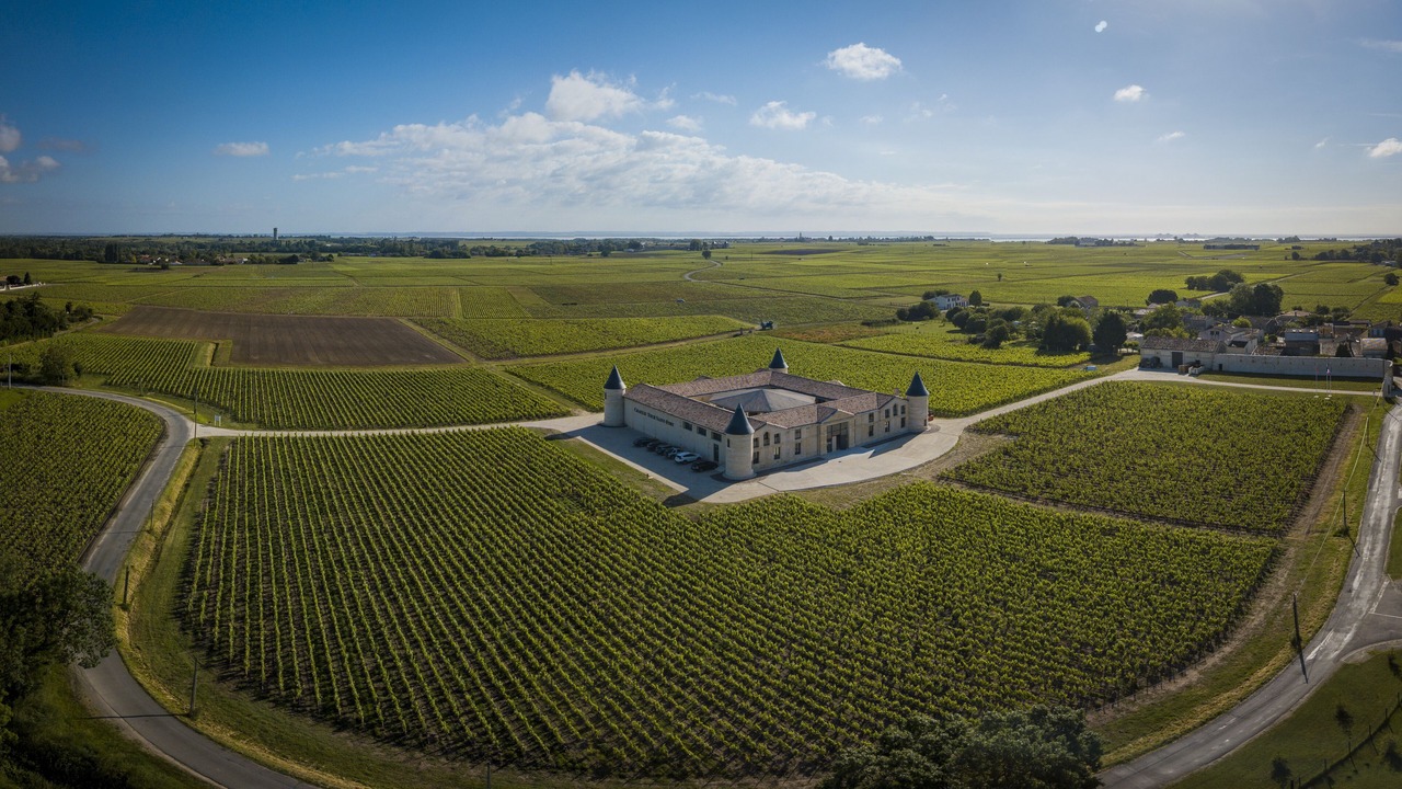 Photo of Outdoor in Saint-Estephe