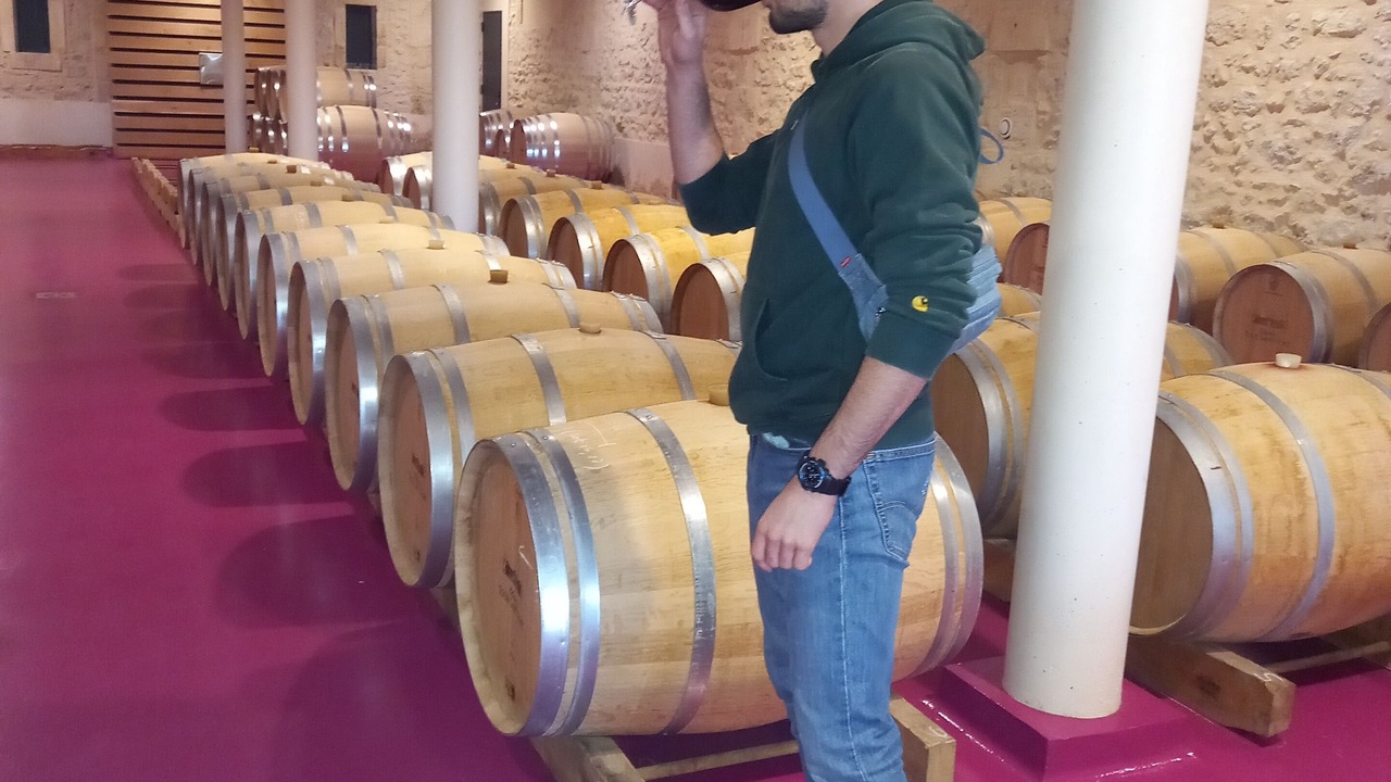 Photo of Bedroom in Saint-Estephe