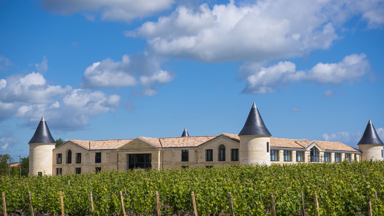 Photo of Outdoor in Saint-Estephe