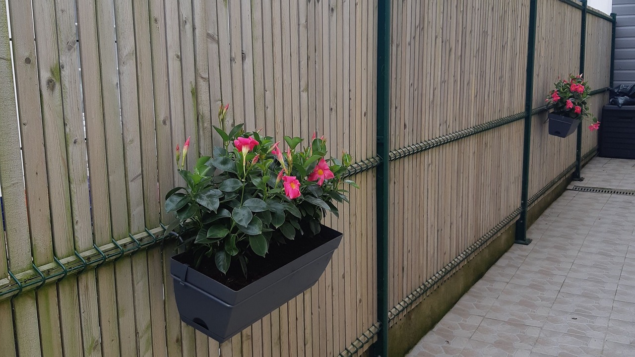 Photo of Outdoor in Ambleteuse