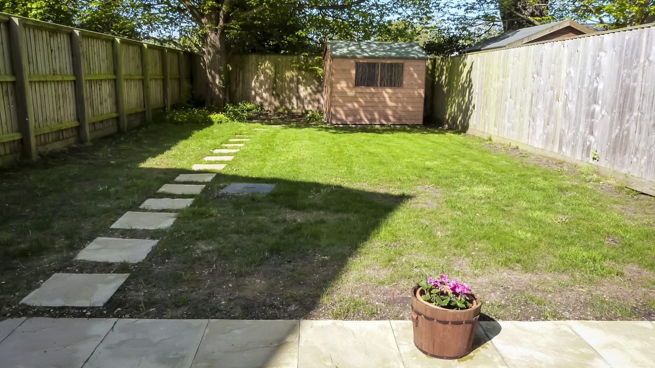 Photo of Others in Freshwater