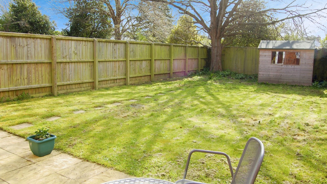 Photo of Others in Freshwater