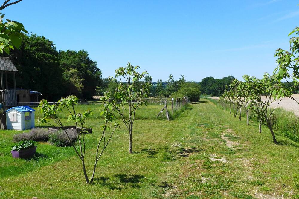 Photo of Outdoor in Autry-le-Chatel