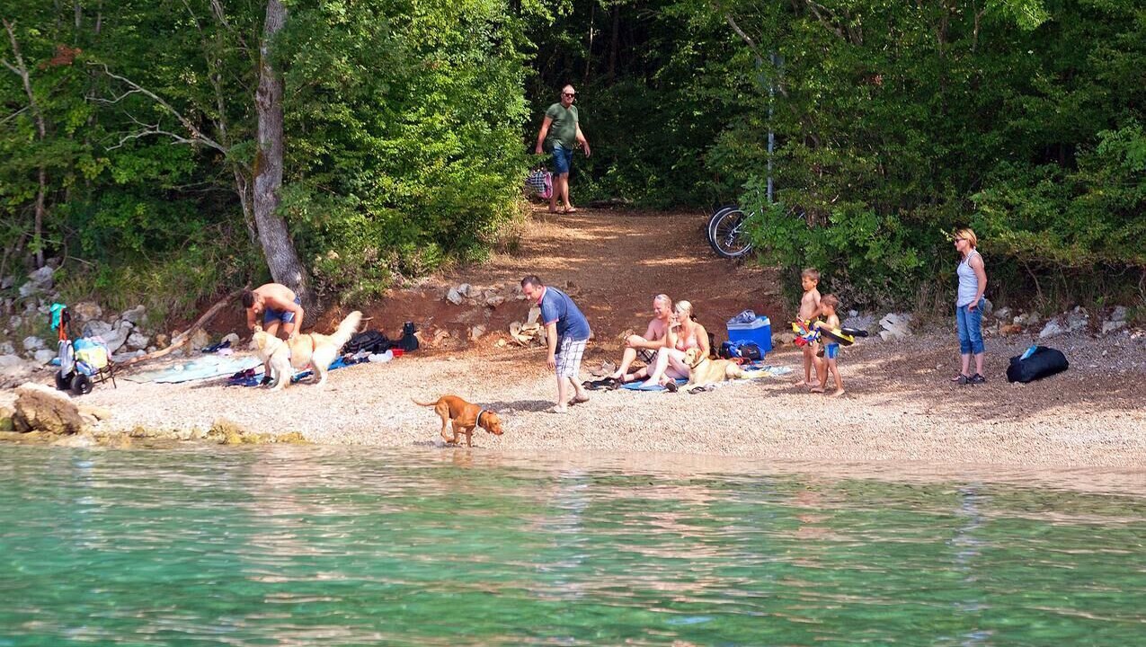 Photo of Outdoor in Salatic
