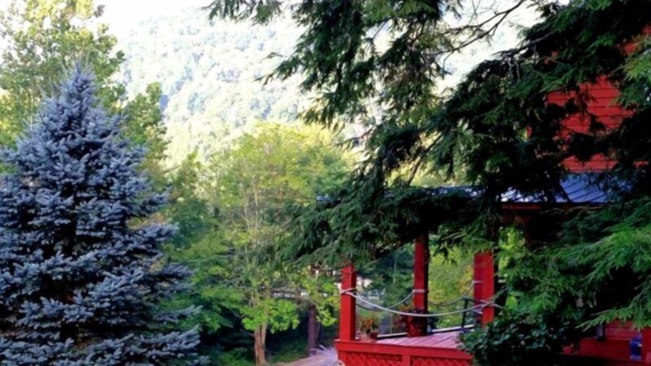 Photo of Outdoor in Roan Mountain