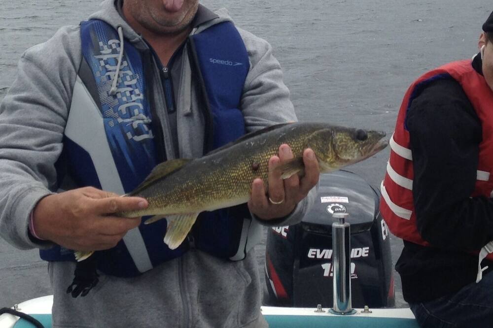 Photo of Others in Sioux Narrows Nestor Falls