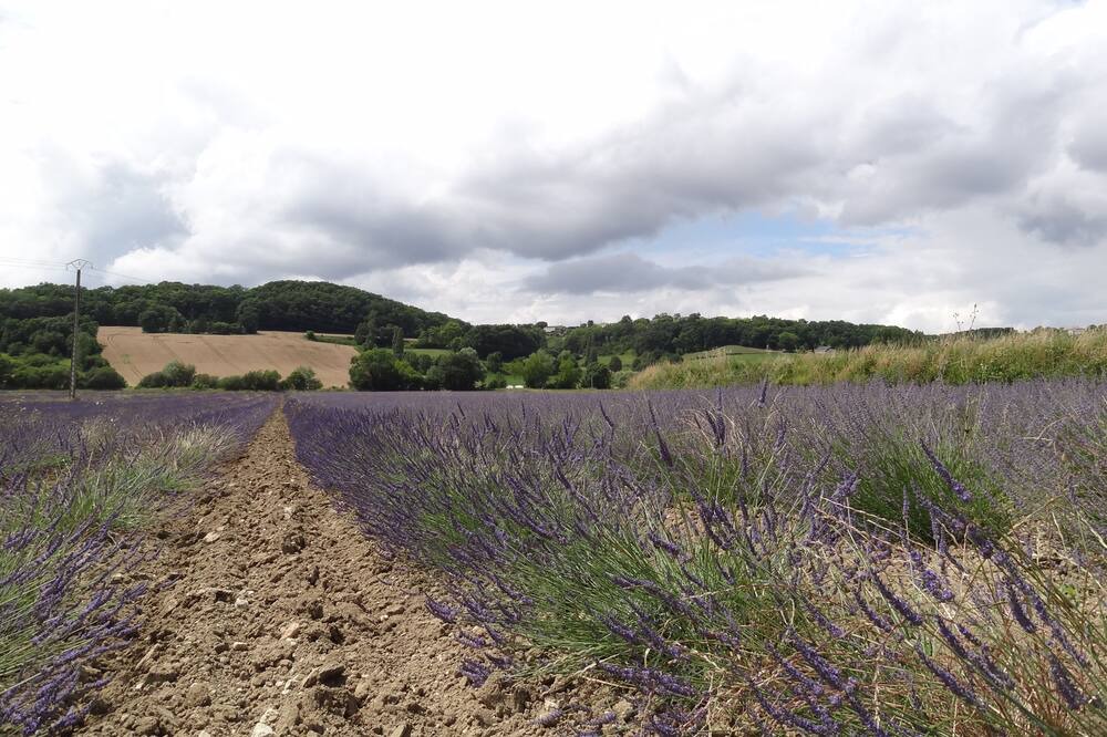 Photo of Outdoor in Lauzerte