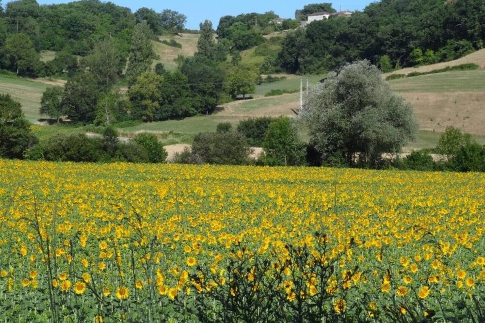 Photo of Outdoor in Lauzerte