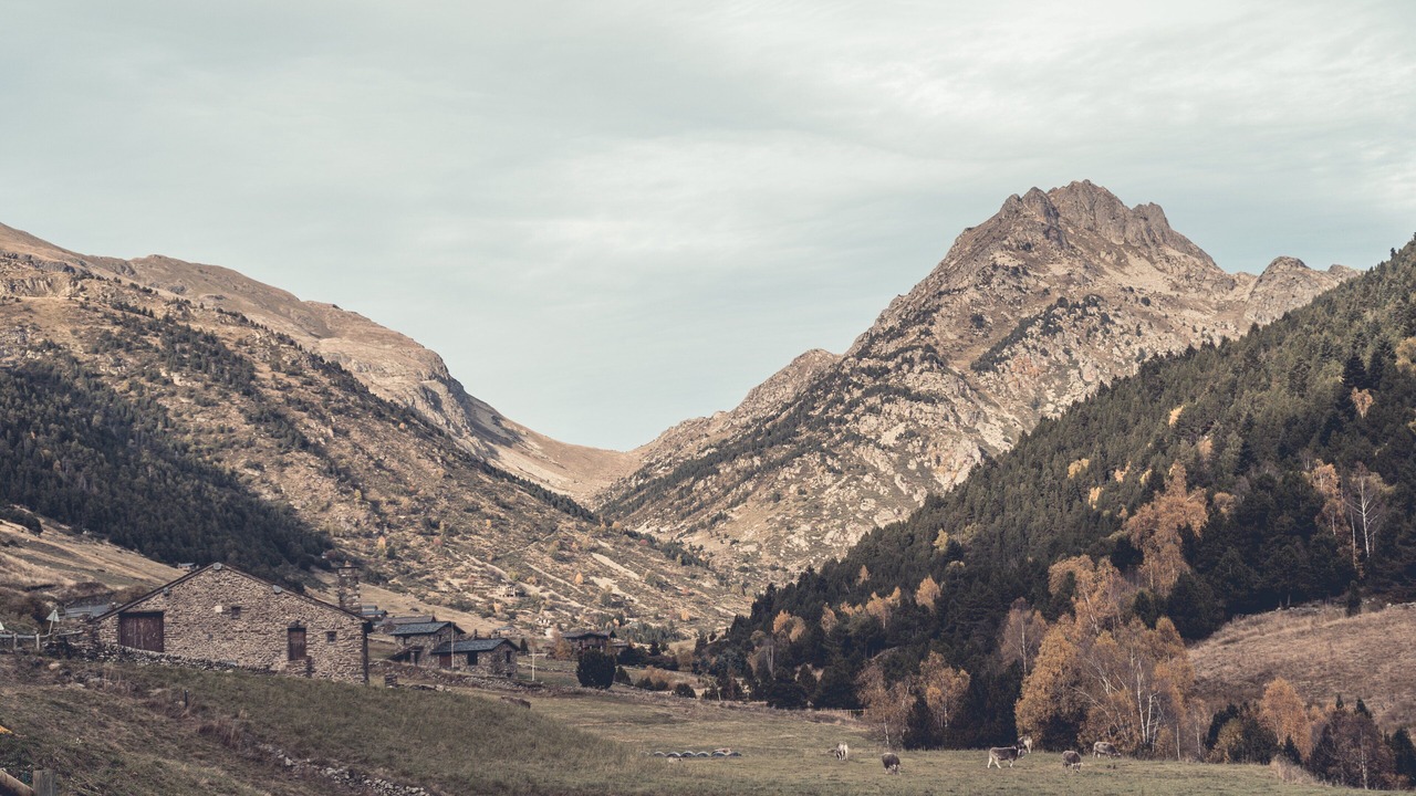 Photo of Others in Soldeu