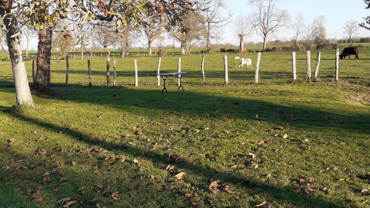 Photo of Outdoor in Colombiers