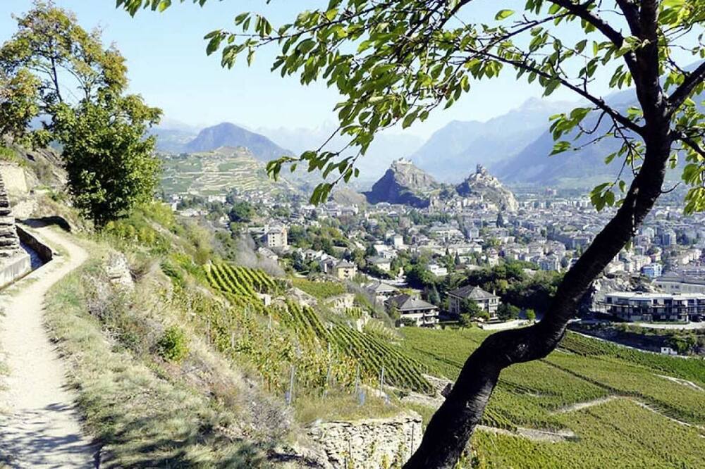 Photo of Outdoor in Sion