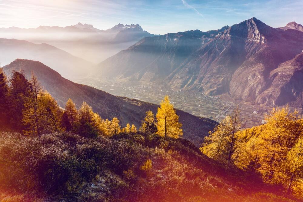 Photo of Others in Sion