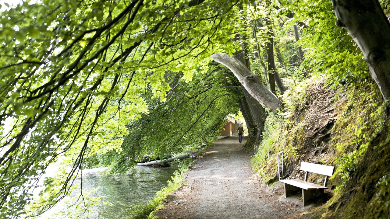 Photo of Outdoor in Spiez