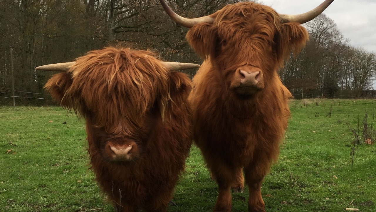 Photo of Outdoor in Bois-Normand-Pres-Lyre