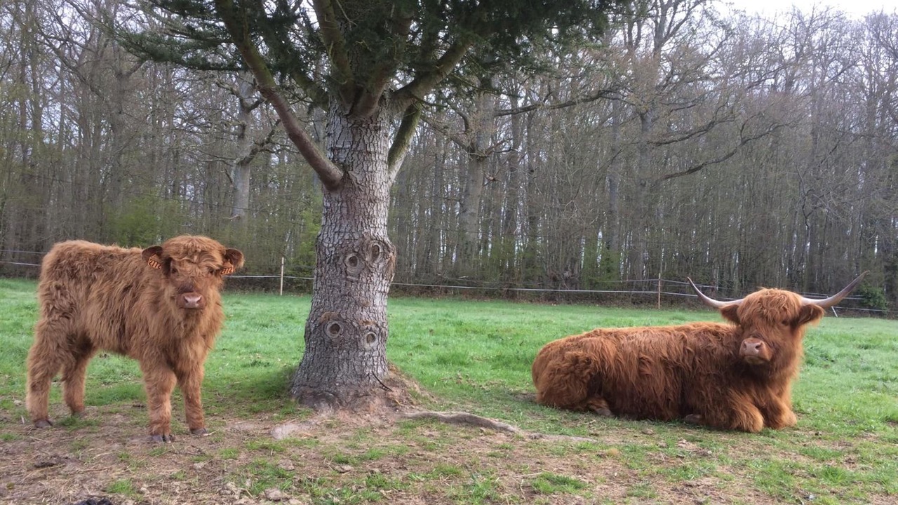 Photo of Outdoor in Bois-Normand-Pres-Lyre