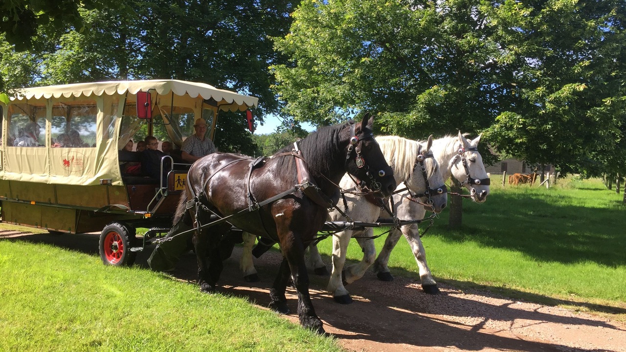 Photo of Outdoor in Bois-Normand-Pres-Lyre