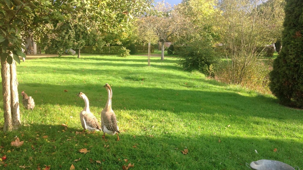 Photo of Outdoor in Bois-Normand-Pres-Lyre