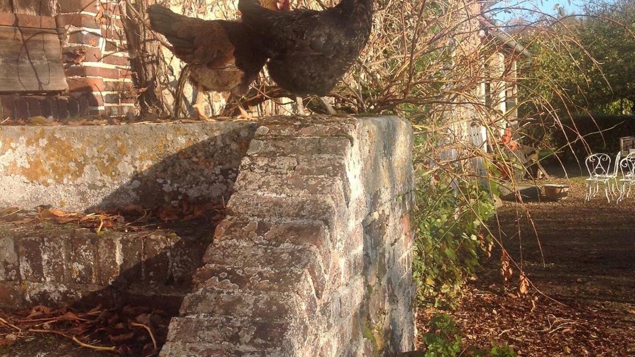 Photo of Outdoor in Bois-Normand-Pres-Lyre