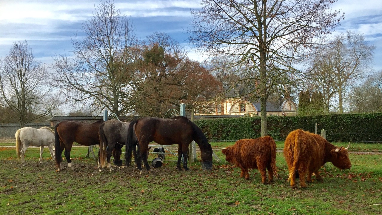 Photo of Outdoor in Bois-Normand-Pres-Lyre