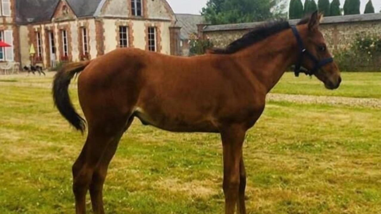 Photo of Outdoor in Bois-Normand-Pres-Lyre