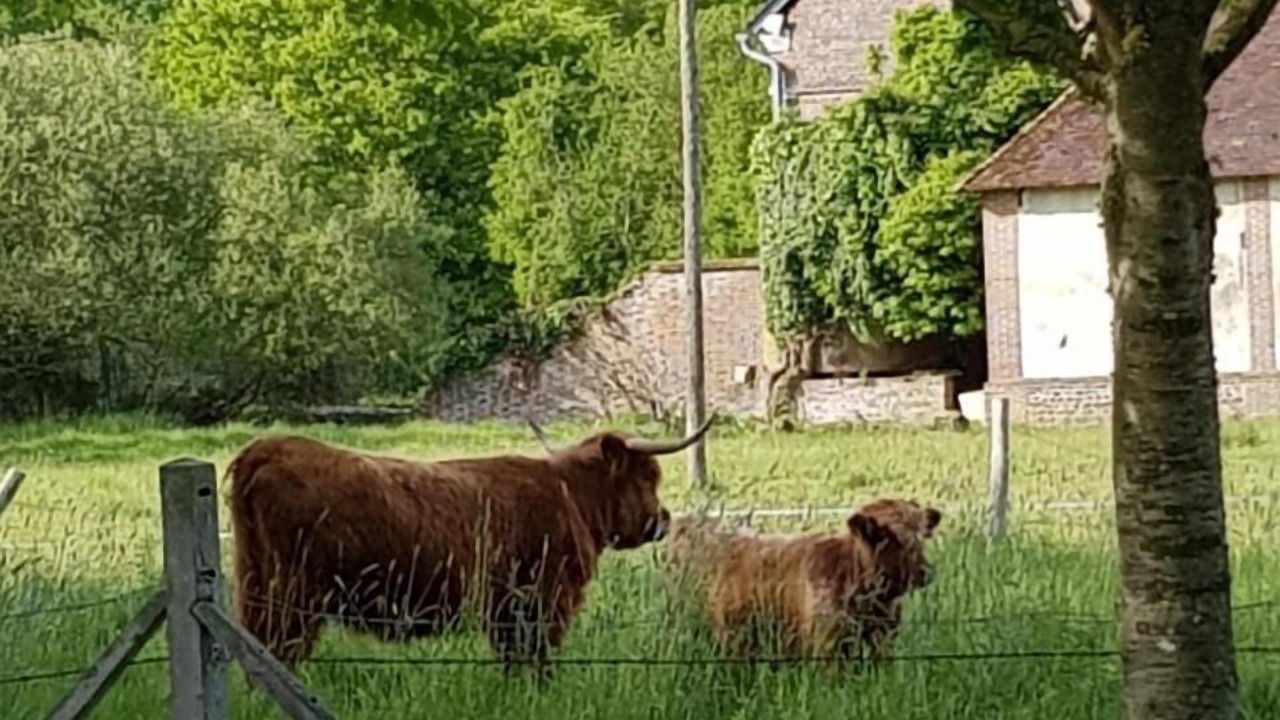 Photo of Outdoor in Bois-Normand-Pres-Lyre