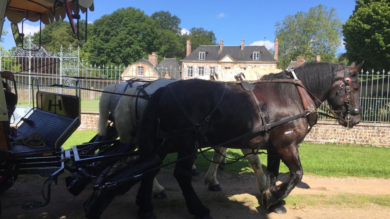 Photo of Outdoor in Bois-Normand-Pres-Lyre