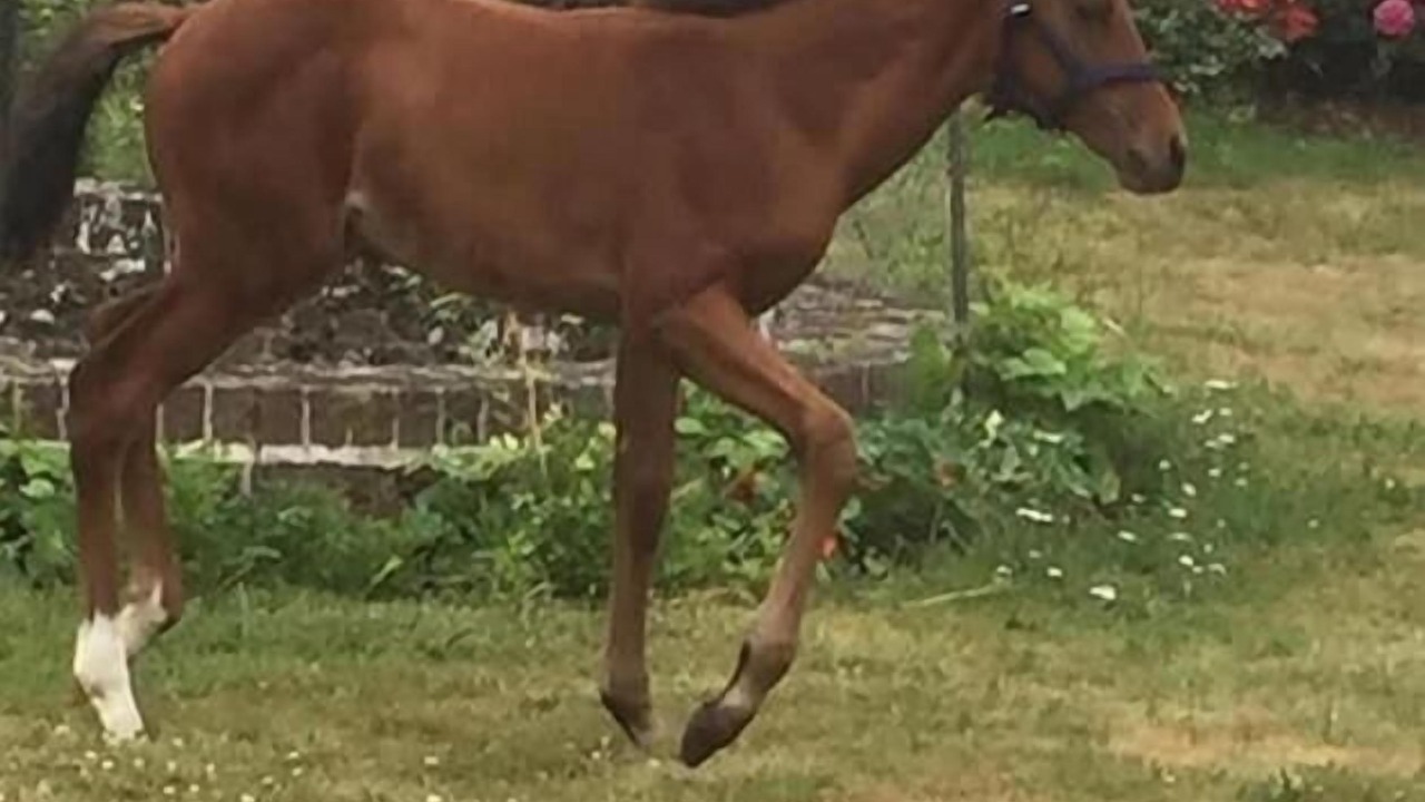Photo of Outdoor in Bois-Normand-Pres-Lyre